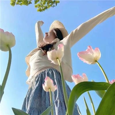 翼·年代记第二季海报