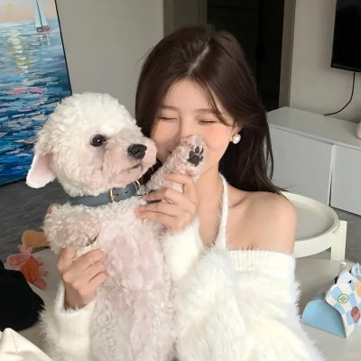 双面博士海报